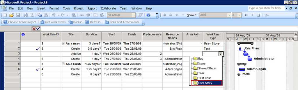 VSTS2010 MSProject