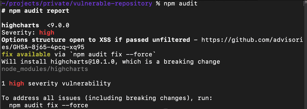 npm audit report